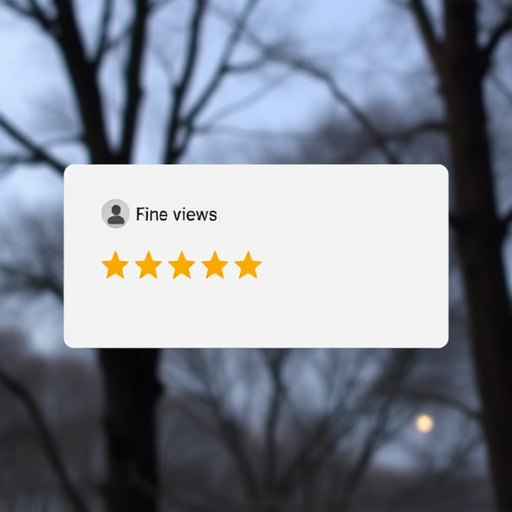 google-reviews-640x480-83855580.jpeg