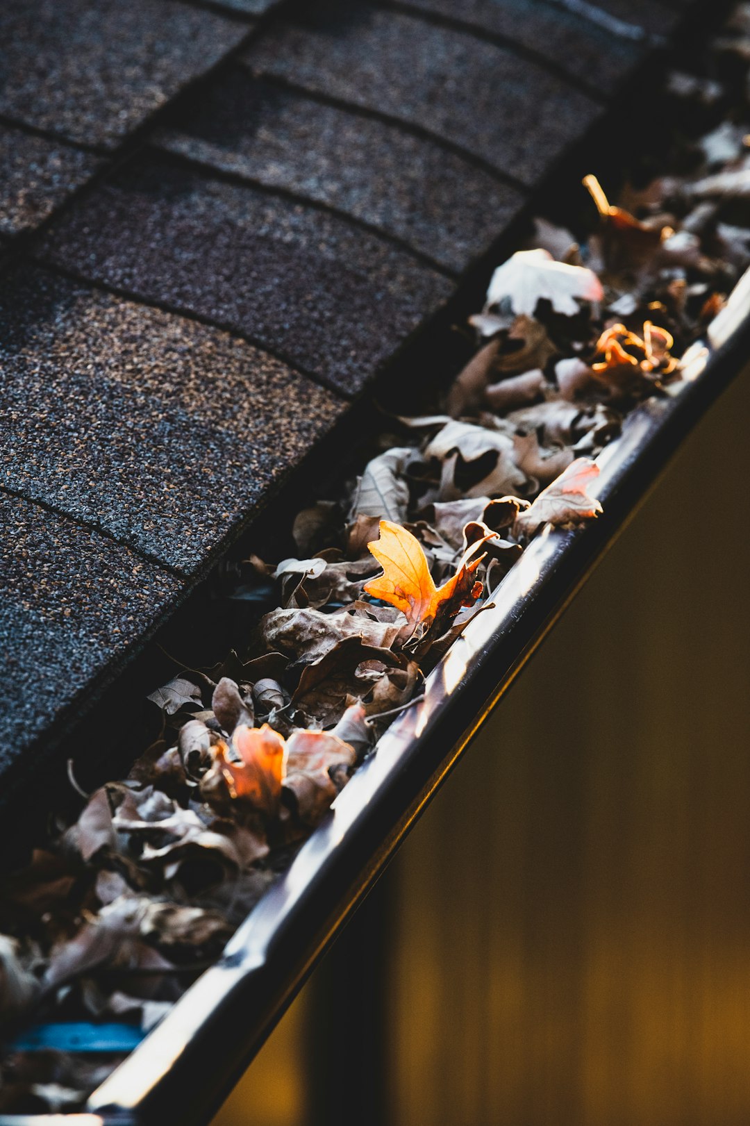 gutter-640x480-86261458.jpeg