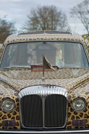 hearse-640x480-32506294.jpeg