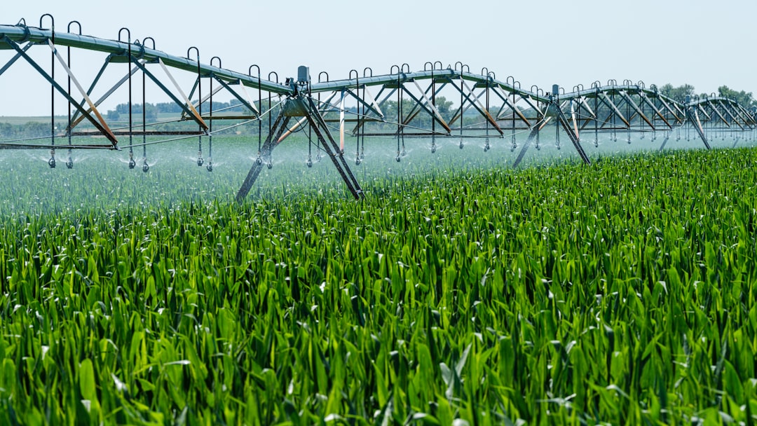 irrigation