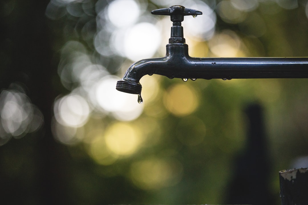 irrigation