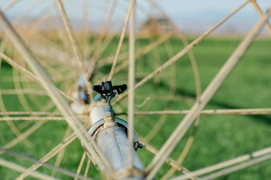 irrigation