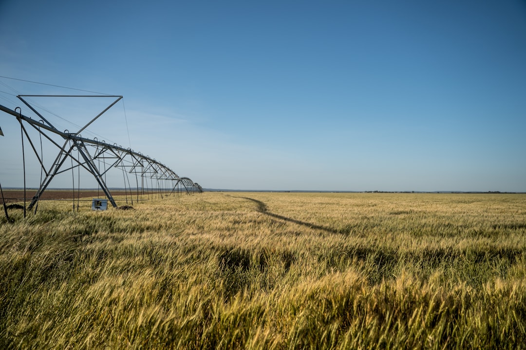 irrigation