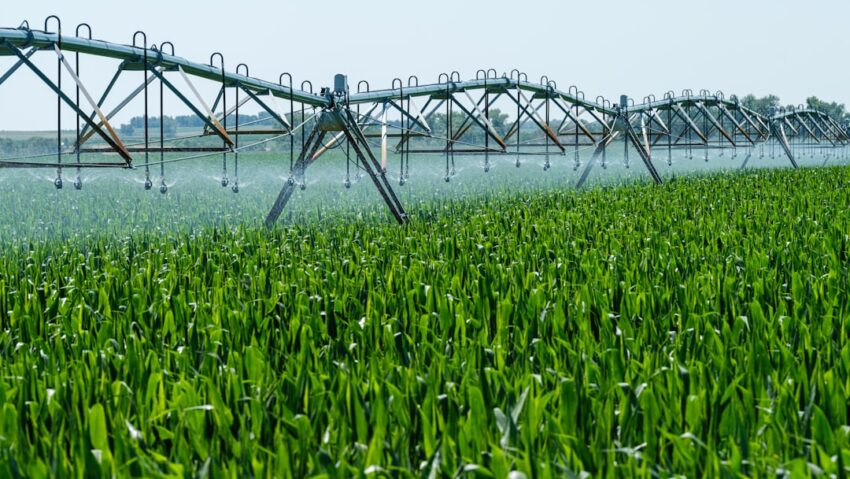 irrigation-640x480-74219675.jpeg