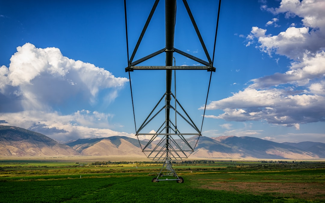 irrigation
