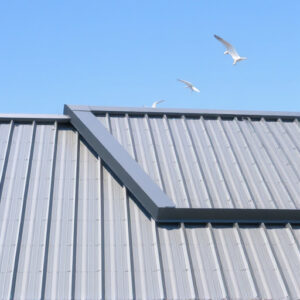 metal-roof-sheets-640x480-84103635.jpeg