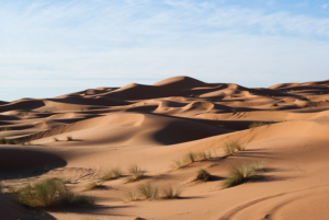 Bushtracker Caravan: Off-Road Ready, Comfortable Adventure Companion for Sale
