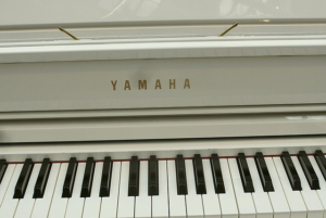 Yamaha PW50: Power N Play – A Family-Trusted Classic Pathway