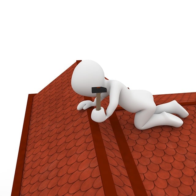 npressfetimg-1108.png