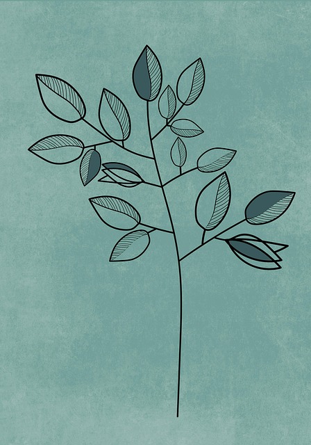 npressfetimg-1115.png