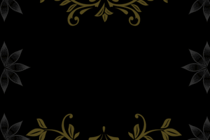 npressfetimg-1131.png