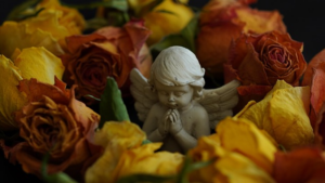 Wodonga Funerals: Tobin Brothers Contact Info & Services