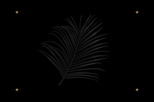 npressfetimg-1197.png