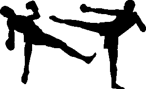 npressfetimg-1491.png