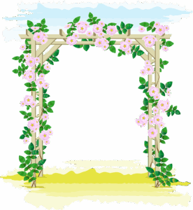npressfetimg-1531.png
