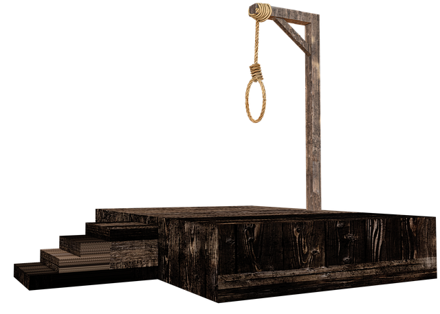 npressfetimg-1630.png
