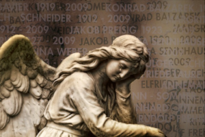 npressfetimg-1686.png