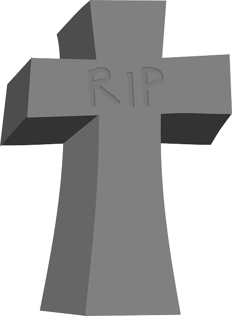 npressfetimg-1706.png