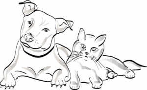 npressfetimg-1915.png