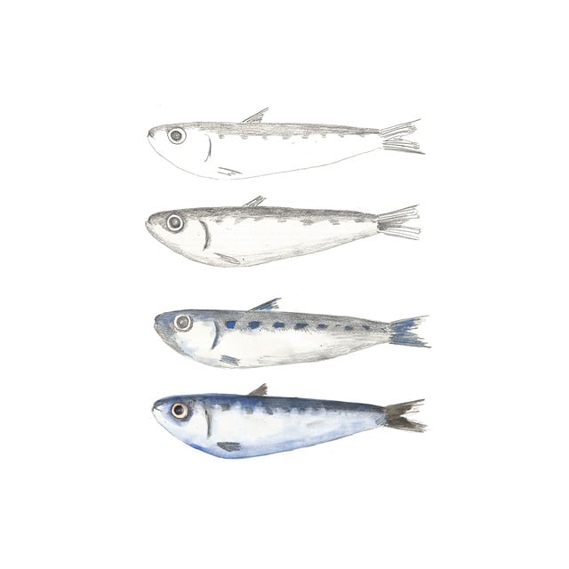 npressfetimg-2144.png