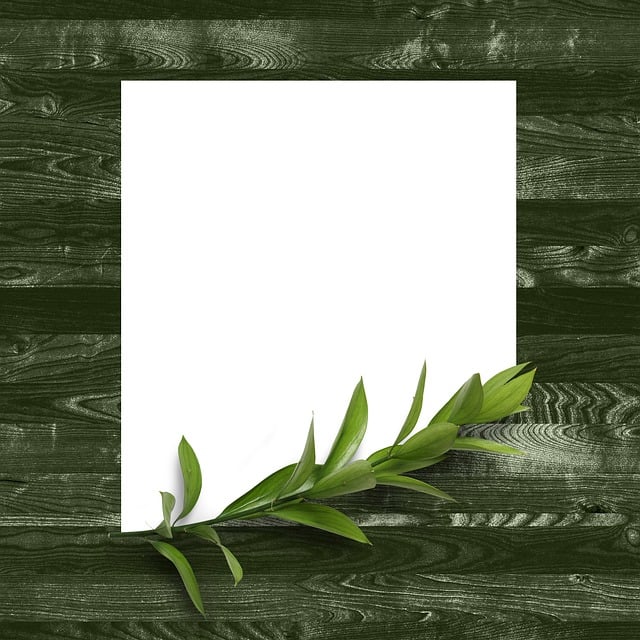npressfetimg-2254.png
