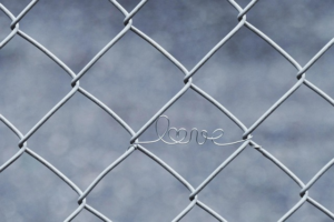 npressfetimg-2578.png