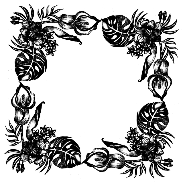 npressfetimg-2737.png