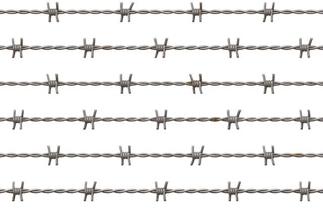 npressfetimg-2986.png