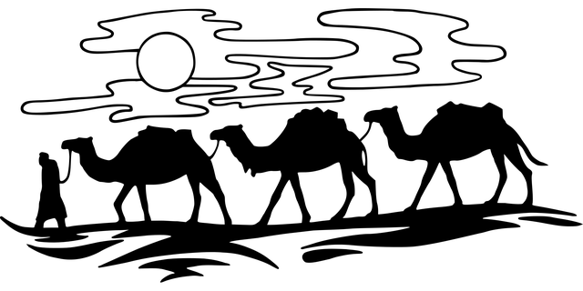 npressfetimg-3201.png