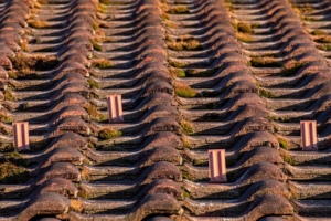 Steeline Roofing Shepparton: Expert Metal Roofing Solutions for Durability & Style
