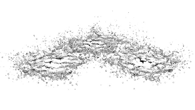 npressfetimg-3627.png
