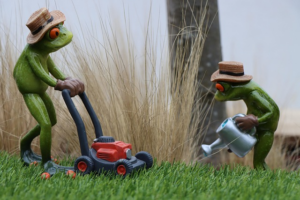 npressfetimg-4318.png