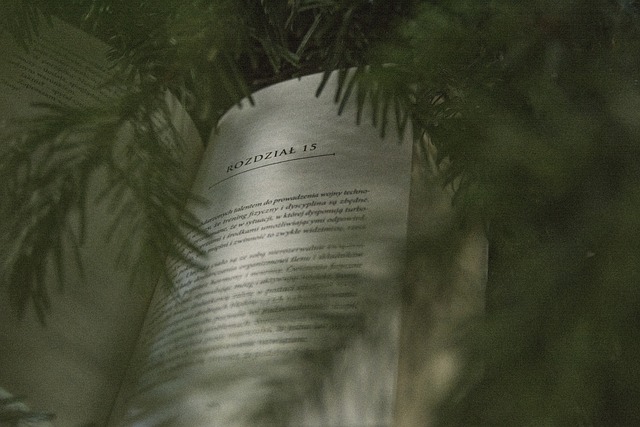 npressfetimg-4555.png