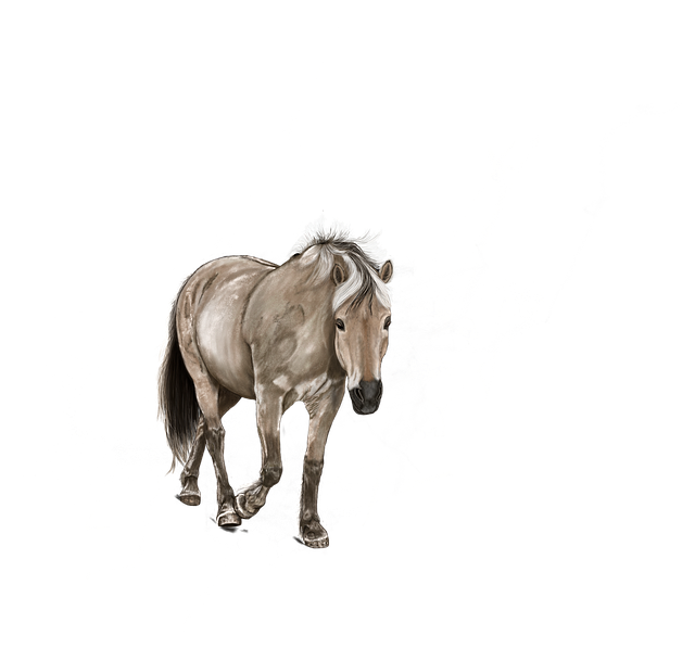 npressfetimg-4622.png