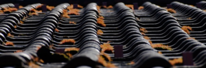 Steeline Roofing Centre Shepparton: Tailored Advice for Every Project