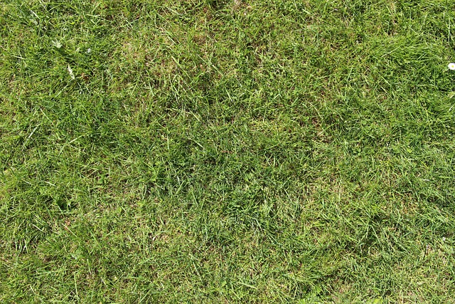npressfetimg-4753.png