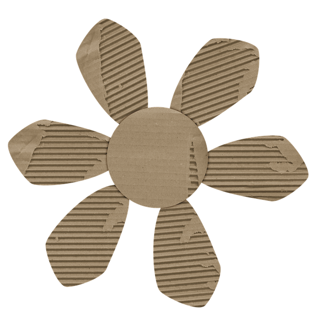 npressfetimg-4825.png