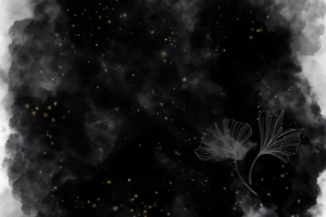 npressfetimg-4906.png