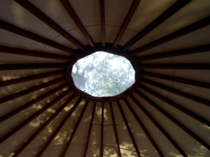 Steeline Wagga Wagga: Local Roofing Solutions for Sheds and Homes