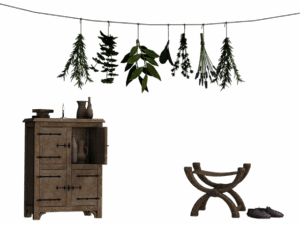 npressfetimg-4991.png