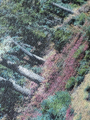 npressfetimg-5025.png