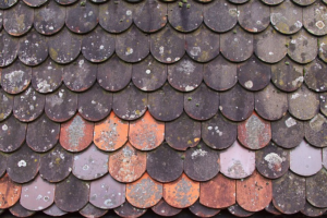 Steeline Roofing Wagga Wagga: Quality Roofs, Expert Service