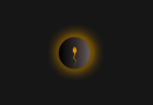 npressfetimg-5207.png