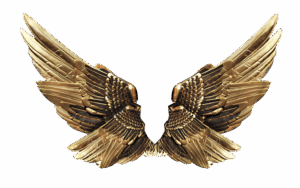 npressfetimg-5215.png