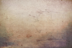 npressfetimg-5224.png