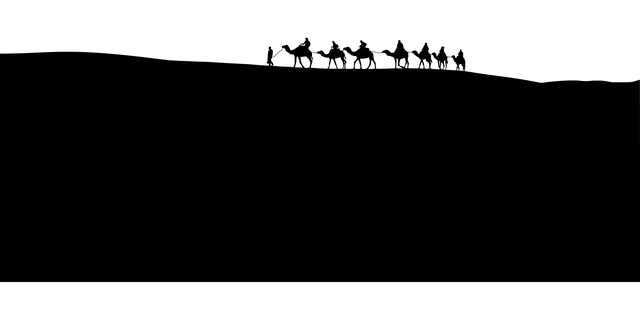 npressfetimg-5240.png