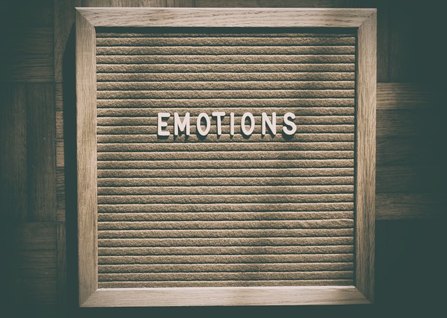 npressfetimg-5384.png