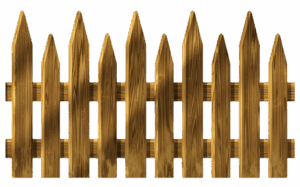 npressfetimg-5385.png