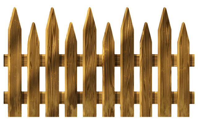 npressfetimg-5385.png