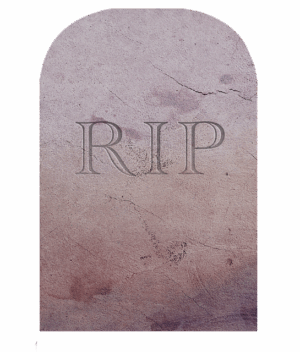 npressfetimg-5401.png